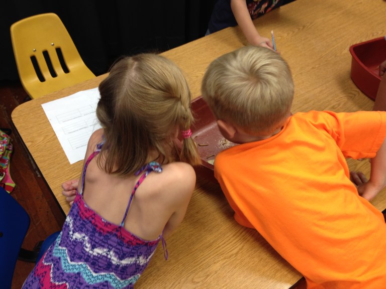 kids looking at mealworms 768x576