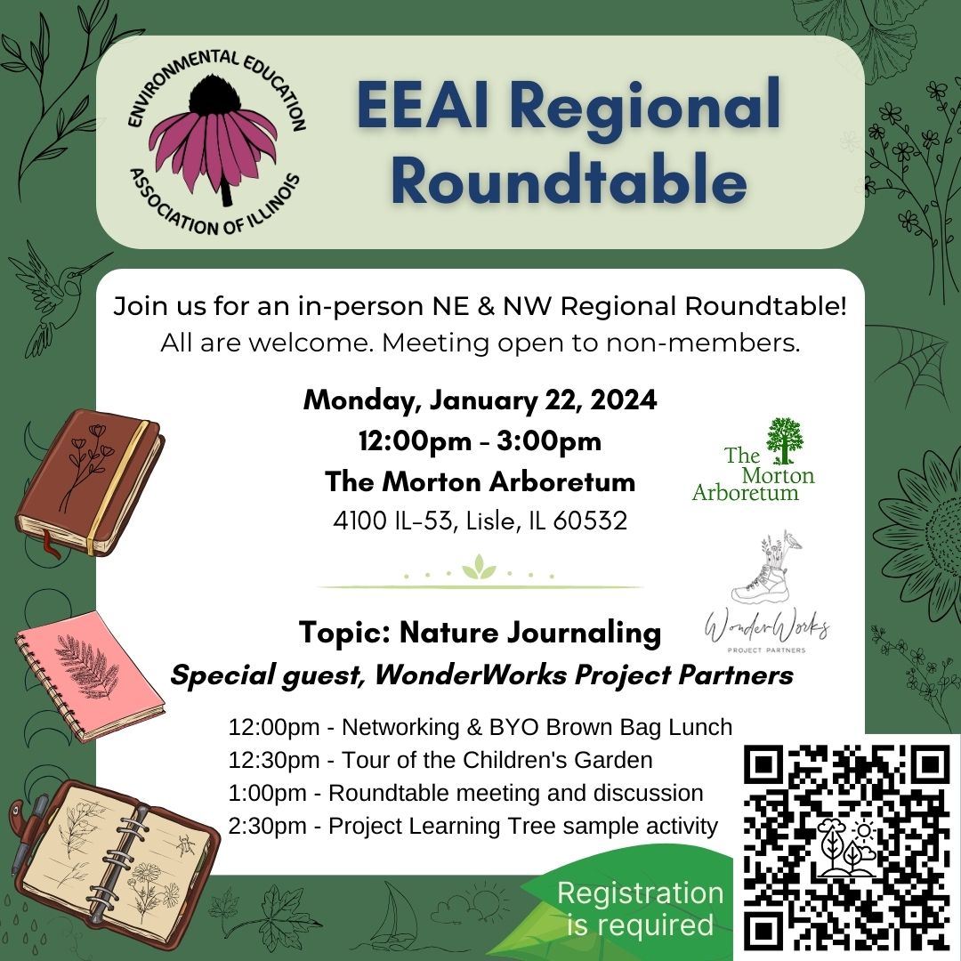 EEAI Regional Roundtable